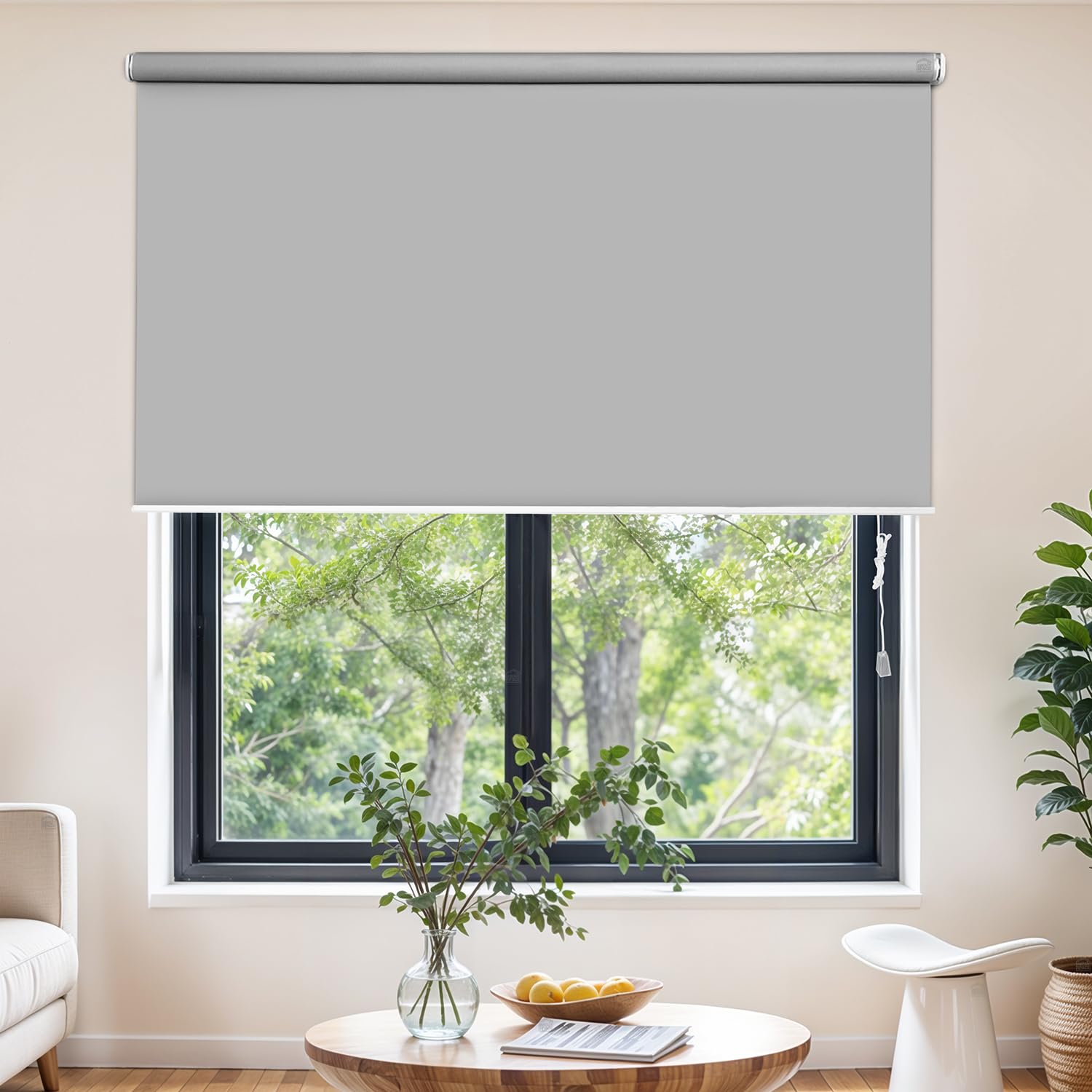 Window Blinds